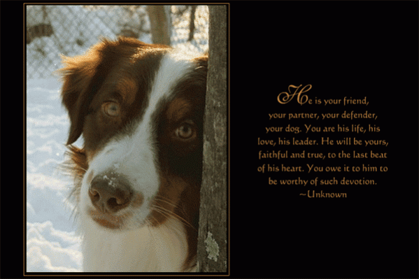 MANS BEST FRIEND MANS BEST FRIEND