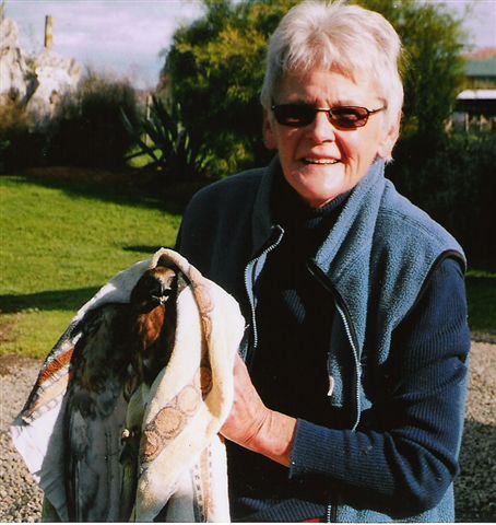 Our Animal Angel Colleen Adams Our Animal Angel Colleen Adams