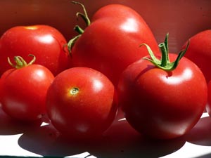 Tomatoes